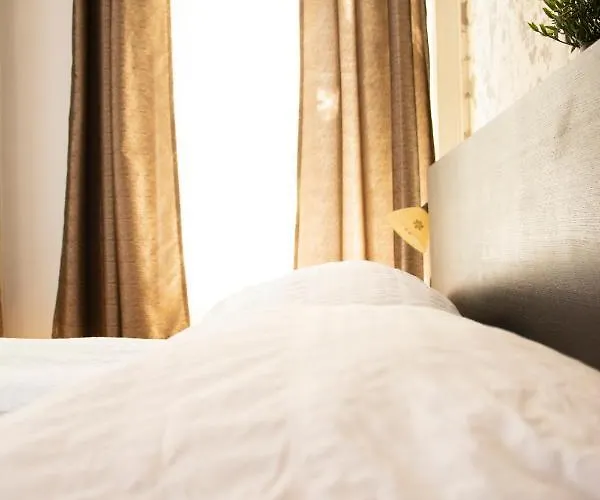 Andrassy Chic Pensiune 3*